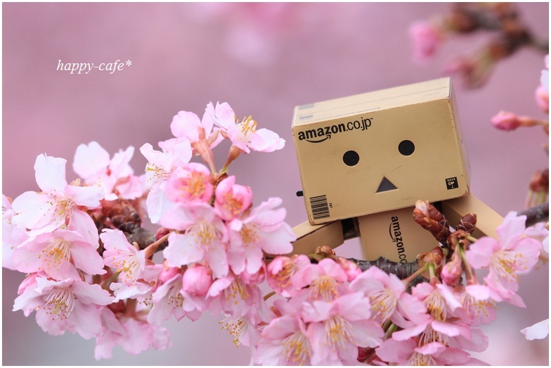 お花見ダンボー君 Happy Cafe Vol 2 お花見ダンボー君 Happy Cafe Vol 2