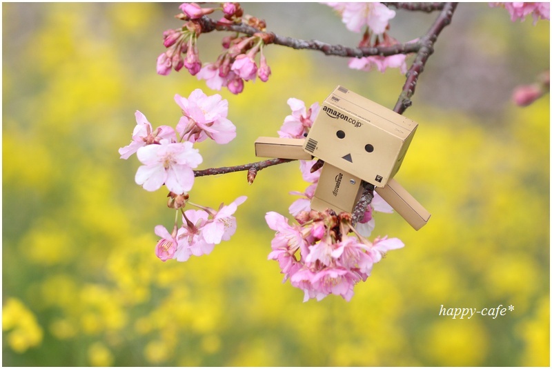 お花見ダンボー君 Happy Cafe Vol 2 お花見ダンボー君 Happy Cafe Vol 2