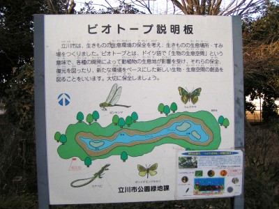 砂川「桑の」公園_c0112172_272081.jpg