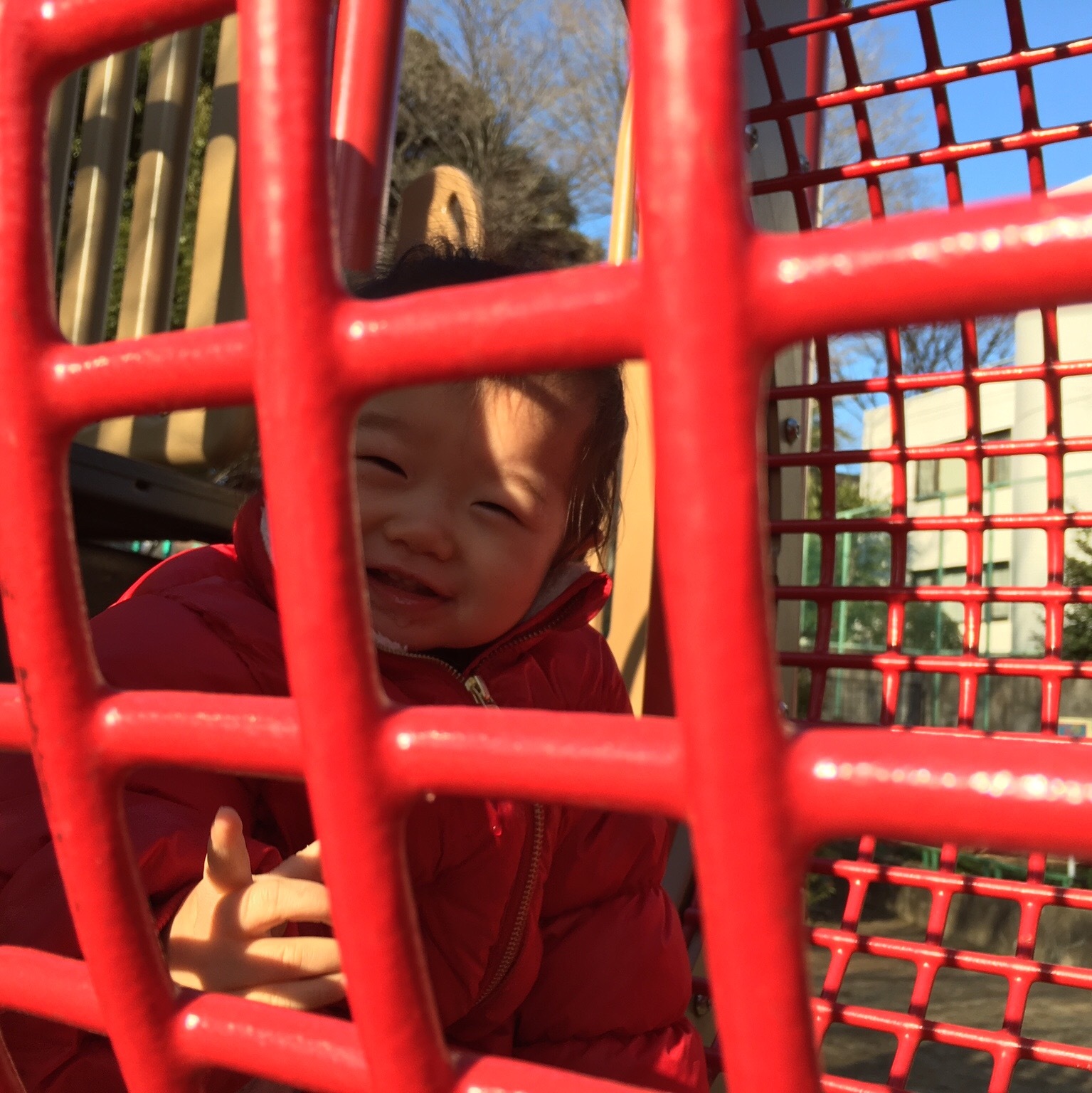 d0041575_21343226.jpeg