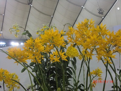a0185783_13315710.jpg