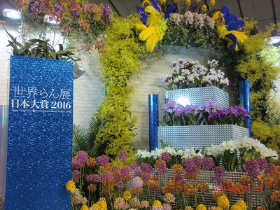 a0185783_1392047.jpg