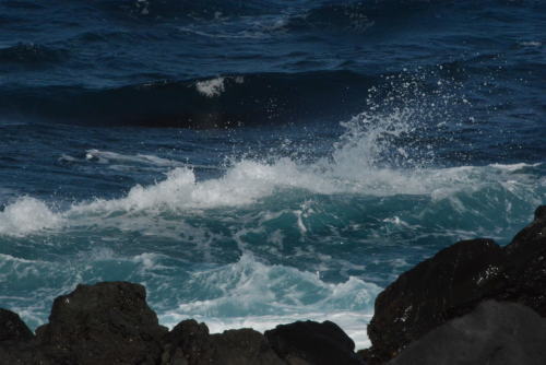 早春の海_c0204385_18444300.jpg