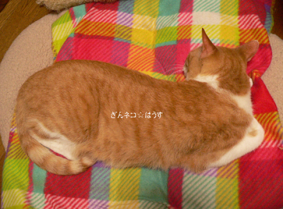 無理するから^^_a0333195_09325932.png
