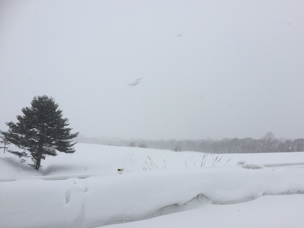 今週は寒い北海道_f0108399_7532547.jpg