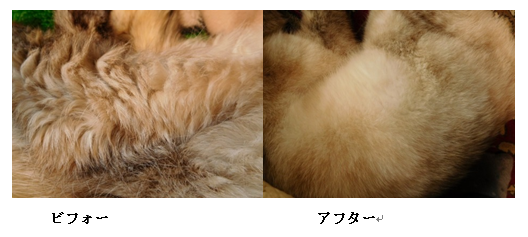 e0350905_18451278.png