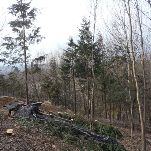 c0310322_17584443.jpg