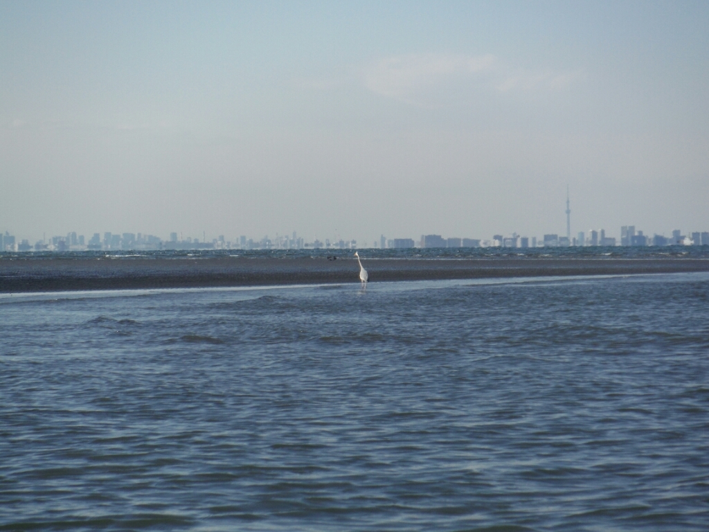 a0284729_11461443.jpg