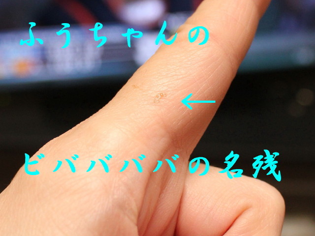c0365734_22395619.jpg