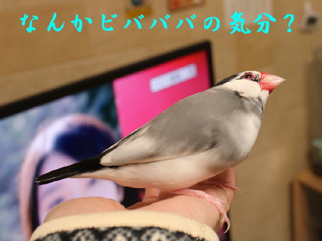 c0365734_22395836.jpg