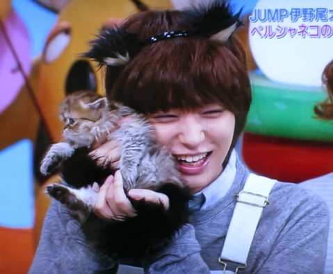 日本全国のカワイイネコを撮りに行く 伊ニャー慧 志村どうぶつ園sp 16 02 27 有岡大貴くんの指が見たい Hey Say Jump い のありを愛でる日々