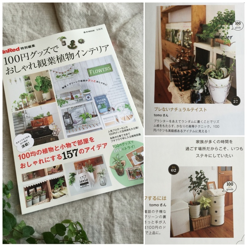 100均の可能性～100円グッズでおしゃれ観葉植物インテリア～_c0358651_16591895.jpeg