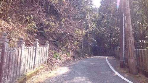 f0337851_08563050.jpg