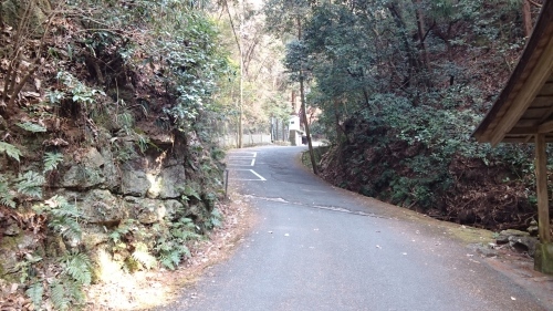 f0337851_08574143.jpg