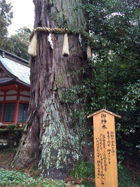 金運とは何かを語りました_d0082655_0474088.jpg