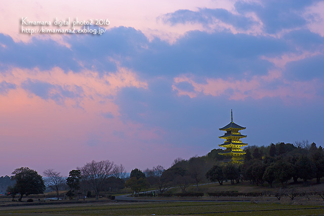 備中国分寺の夕景　2/26_f0324756_10333836.jpg