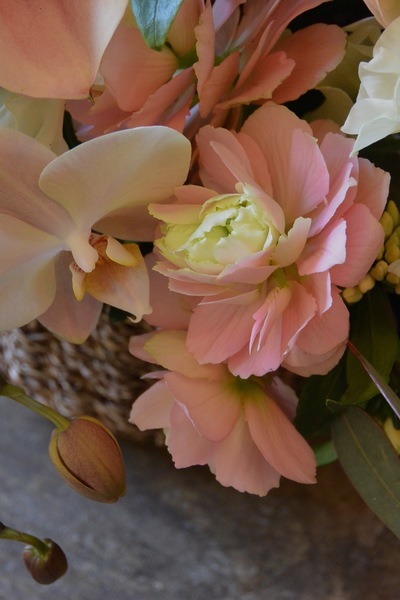 沈丁花の香り。。。_a0229658_7103654.jpg