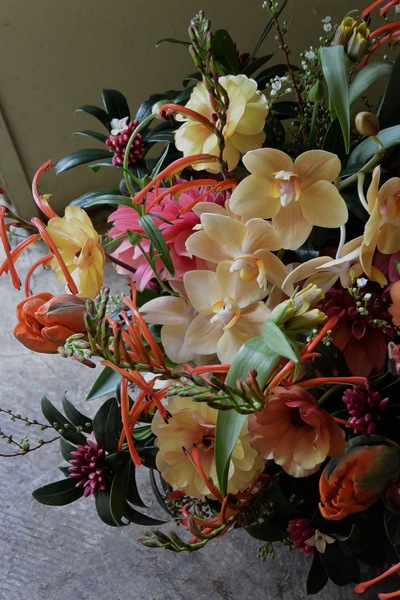 沈丁花の香り。。。_a0229658_7232771.jpg