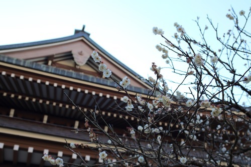 c0210275_21374510.jpeg