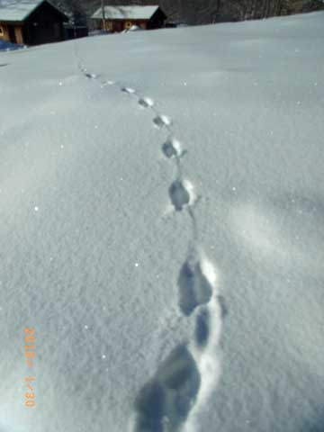 f0083977_232245.jpg