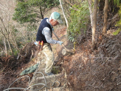 高石ジュニア自然大学校・孝子の森へ_f0053885_18580589.jpg