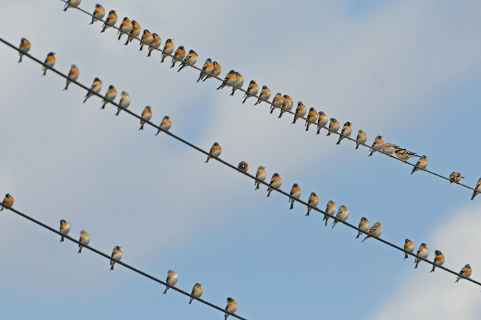 e0248688_18134446.gif