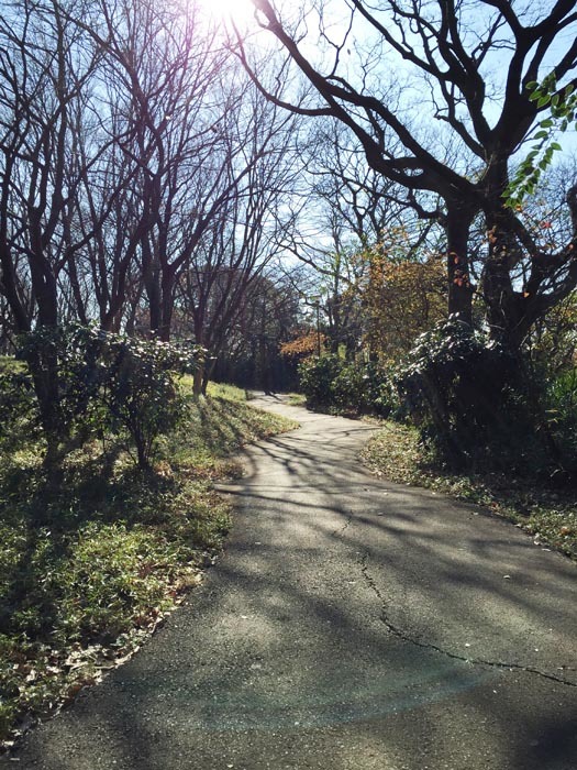 久良岐の能舞台の裏山_f0253789_14570373.jpg