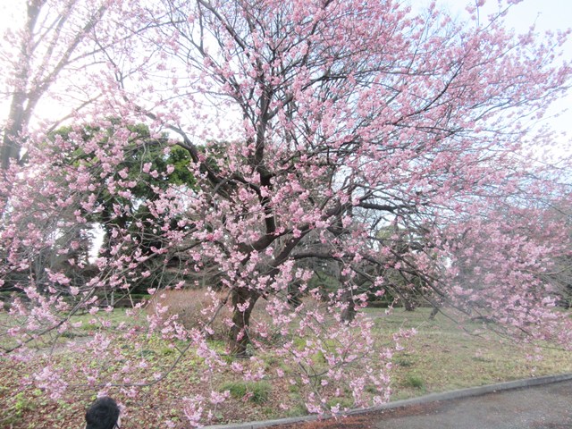 f0215591_13414521.jpg