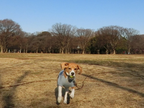 a0319693_603323.jpg