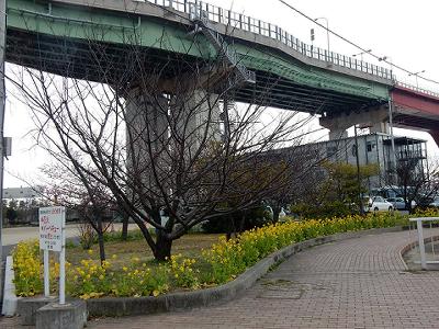 b0051598_22452196.jpg