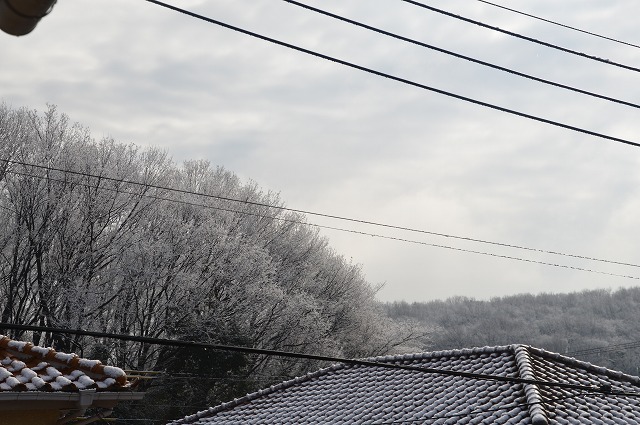 c0124100_0133277.jpg