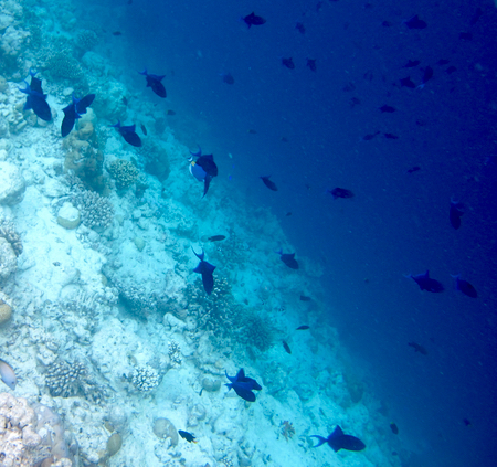 e0338303_10175414.jpg
