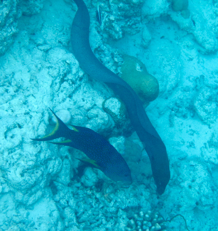 e0338303_1018664.jpg