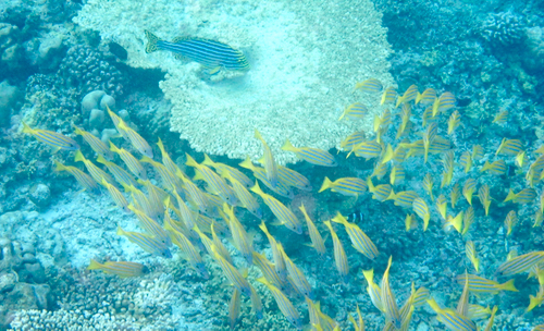 e0338303_10273043.jpg