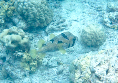 e0338303_10274761.jpg