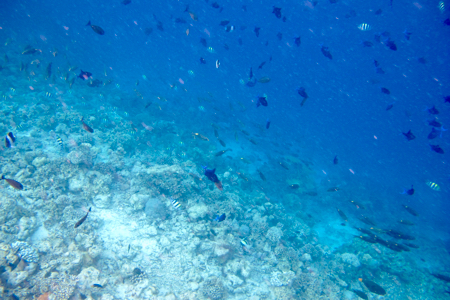 e0338303_10275857.jpg