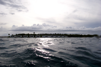 e0338303_1028315.jpg