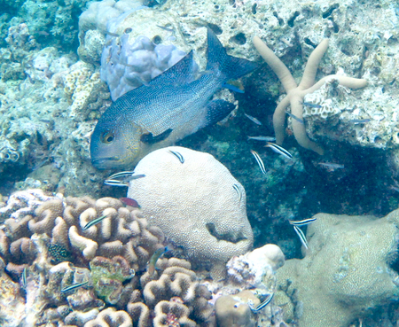 e0338303_1032460.jpg