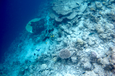 e0338303_10332171.jpg
