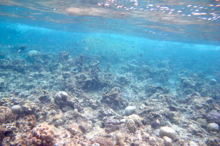 e0338303_1033336.jpg