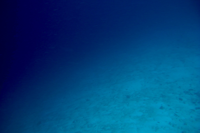e0338303_1727559.jpg