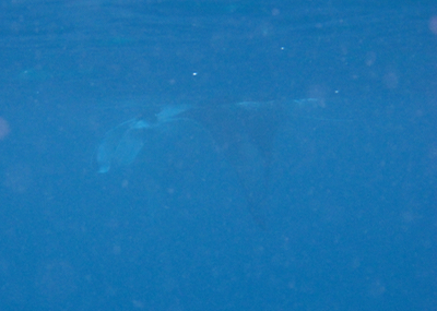 e0338303_17281139.jpg