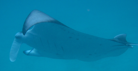e0338303_17283143.jpg