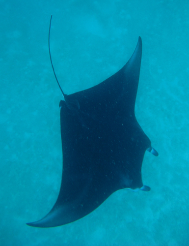 e0338303_17284353.jpg