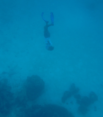 e0338303_1728781.jpg