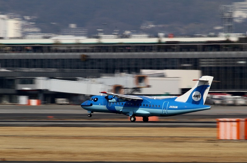 「イルカ」飛行機が飛んできた・・・_c0213607_21491569.jpg