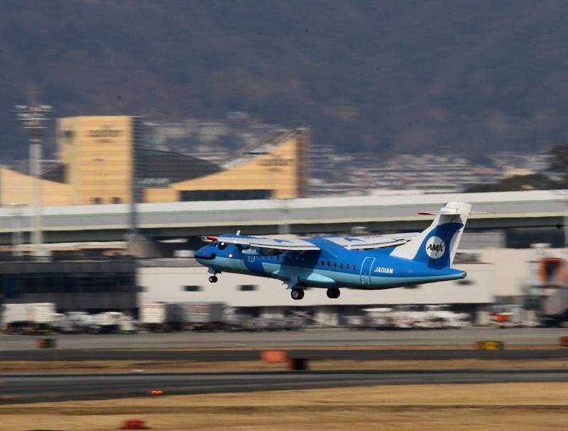 「イルカ」飛行機が飛んできた・・・_c0213607_21492914.jpg