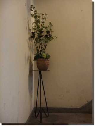 a0114514_202239.png