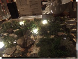 a0114514_203144.png