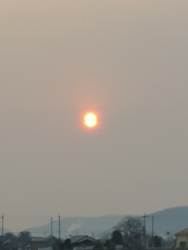d0254827_1019262.png